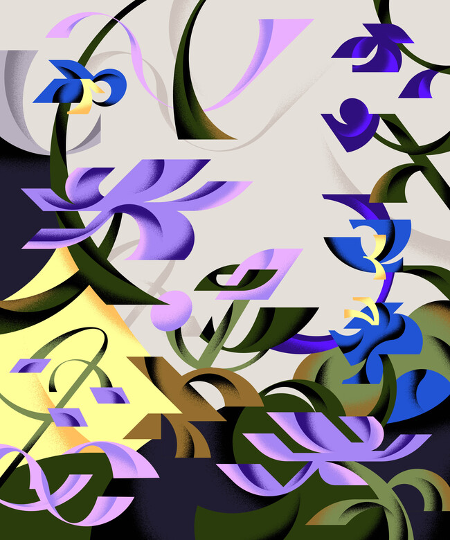 product6