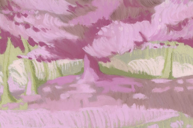 product6